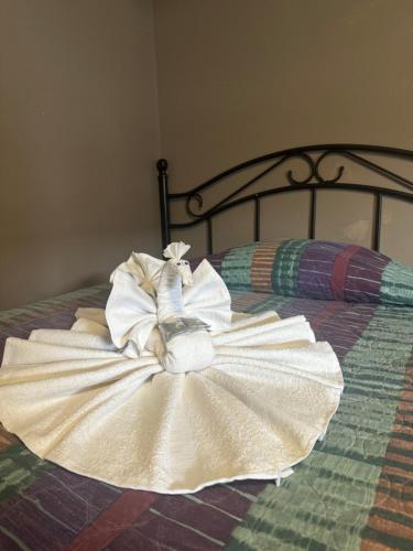 Live In Lodge Live In Lodge