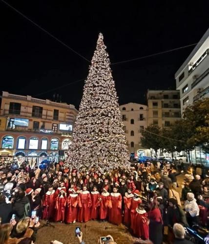 La Rosa dei Venti Guest House gîte à louer Pontecagnano Faiano