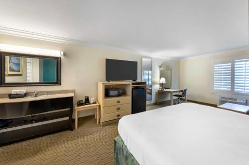 Best Western - Harbour Inn & Suites - image 11