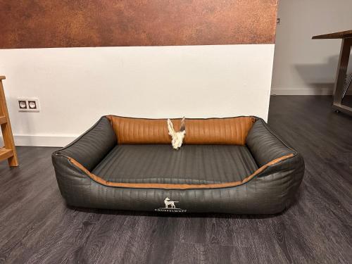 URLAUB mit HUND -Ferienwohnung AhriBella-, Glowe (foto 11)