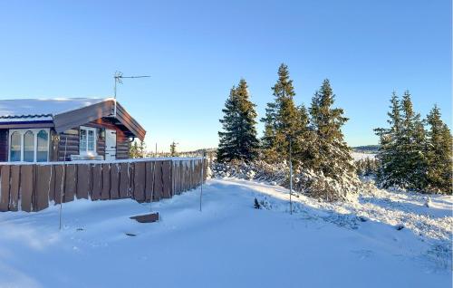 Exterior view, Lovely Home In Sjusjøen With Wifi in Sjusjoen
