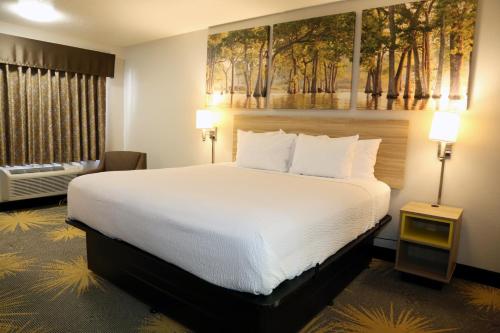 Days Inn by Wyndham Monroe - image 6