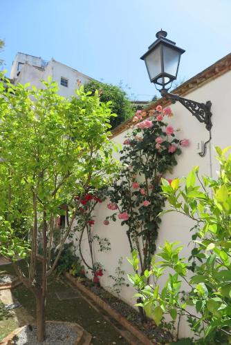 Charming Albaicin Patio Flat Free onsite parking, Granada (photo 9)