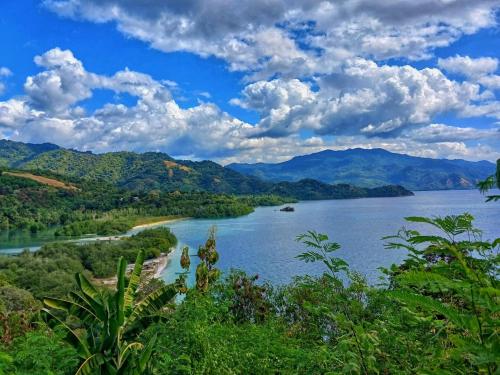 DejaVu Coffee and Homestay in Maumere