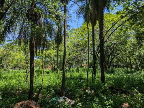 Un Oasis Natural a Minutos de Asunción Un Oasis Natural a Minutos de Asunción