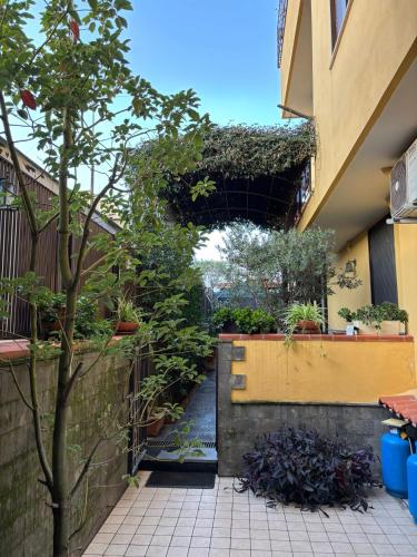 Home To Fly, Neapel (Foto 7)
