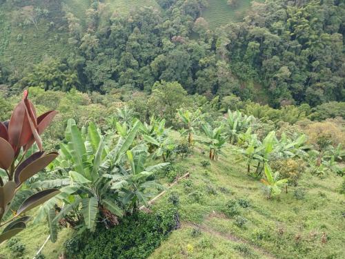Sports and activities, El eden in Atardeceres