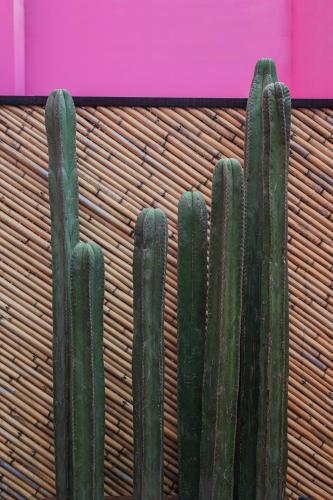 Casa Rosamate - image 2