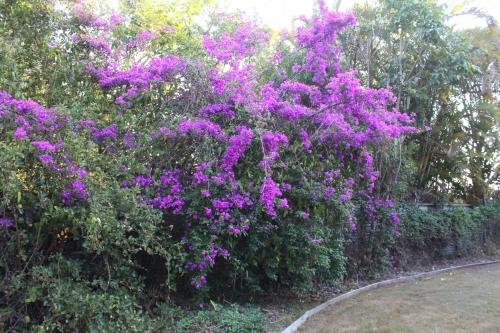 A heavenly haven in Maleny