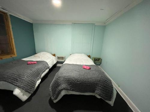 Hostal Perro Watón Hostal Perro Watón