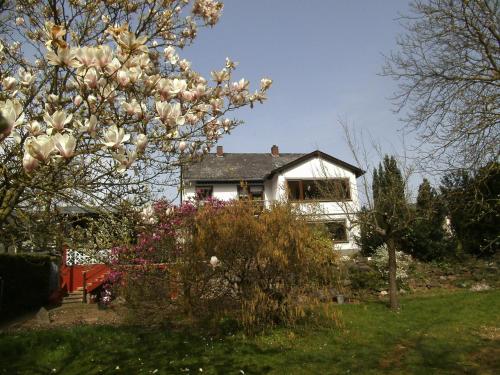 Fewo Gästezimmer - Apartment - Ellenz-Poltersdorf