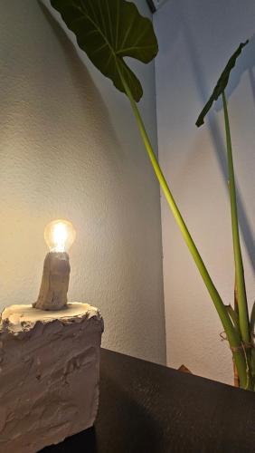 Top Central Stay - Cozy Bedroom & Kitchen in the Heart of the City and Hauptbahnhof, Wuppertal (photo 8)