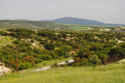 Stylish villa in Salonica's nature