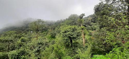 Spinson Home Stay - image 4