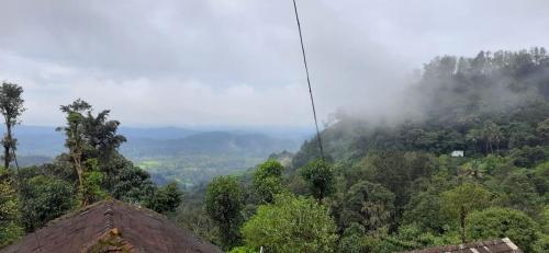 Spinson Home Stay - image 2