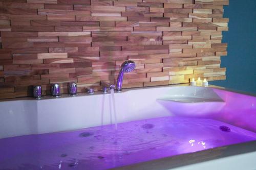 Rose & Blue Spa proche Chalon S/Saône et Beaune (Rose & Blue Spa proche Chalon S/Saone et Beaune) in Saint-Martin-en-Bresse