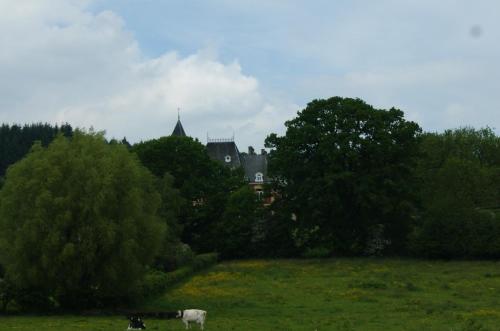 Chateau Neufays