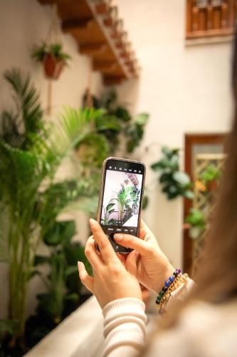 Apartamentos Turísticos San Pedro - main image