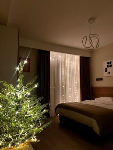 Apartment in Bakuriani, Bakuriani (fotografie 2)