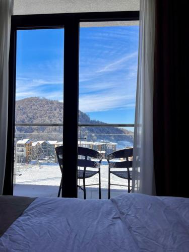 Apartment in Bakuriani, Bakuriani (fotografie 9)