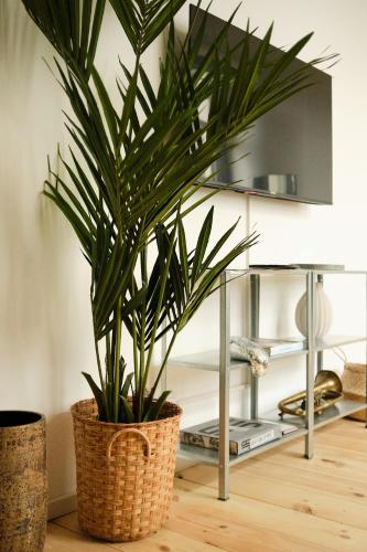 Modern Design 75sq Apartment in Berlin Mitte, Berlin (photo 9)