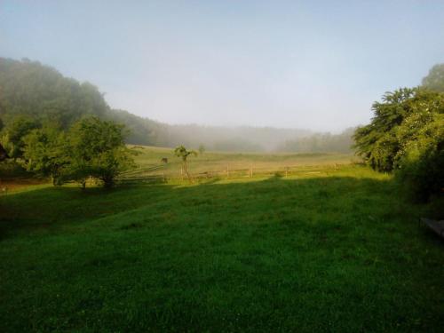 Pferdehof in der Oststeiermark in Sankt Mareina pie Grācas