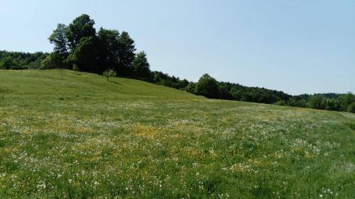 Pferdehof in der Oststeiermark in Sankt Mareina pie Grācas