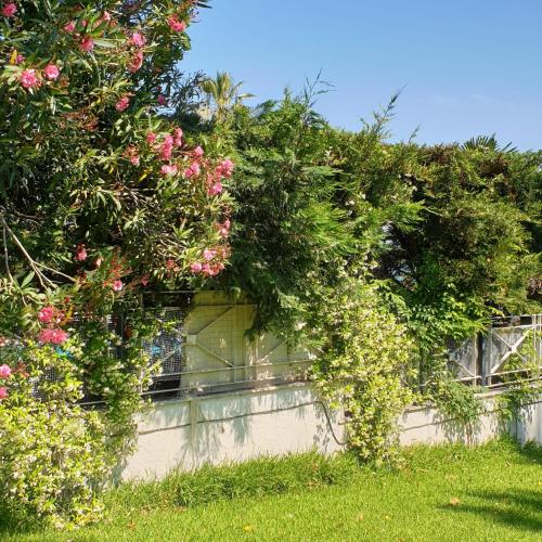 H & H Halkidiki Homes 1, Hanioti (foto 8)