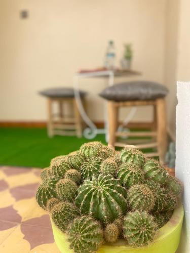 Studio Moderne avec terrasse Studio Moderne avec terrasse