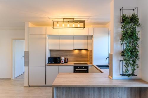 KOA - THE BOX KOA - THE BOX