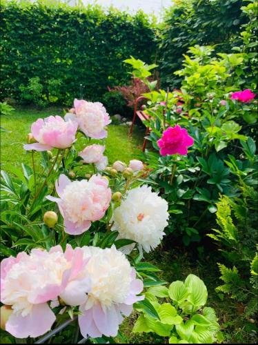 Bright new studio 43m2 with a beautiful garden, München (Foto 10)