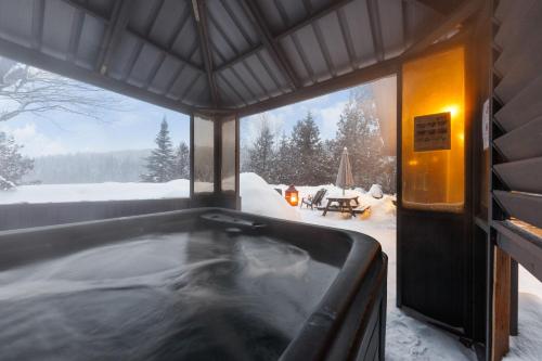 Le1605 - Spa et Plage - Les chalets dans le nord in Sainte Lucie des Laurentides (QC)