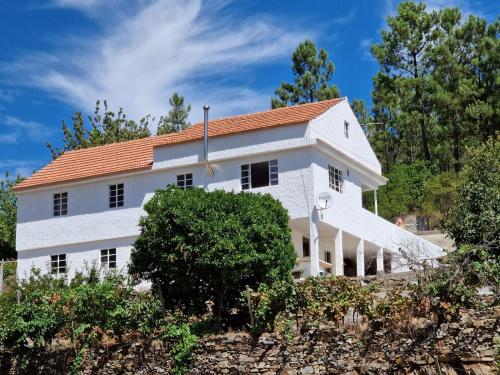 Quinta Dos Kiwis gîte à louer Currais