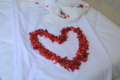 pyramids solar boat inn