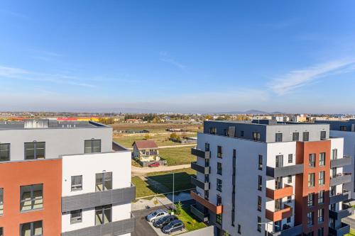 KOA - THE BOX KOA - THE BOX