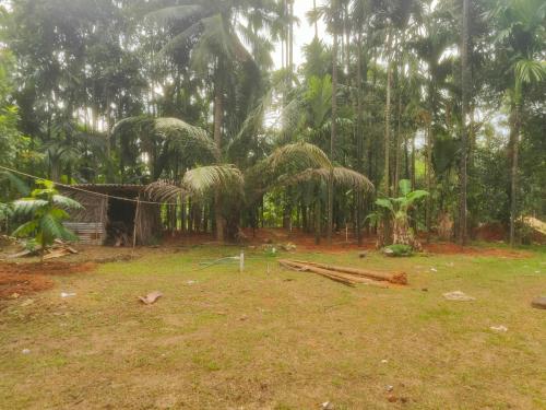 Garden, Gowri farm stay in Koteshwar