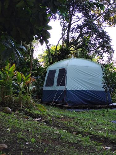 Camping à la ferme Camping à la ferme