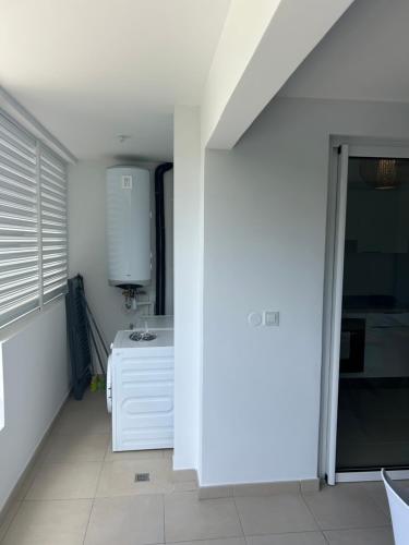 Palme bleue t3 au diamant Palme bleue t3 au diamant