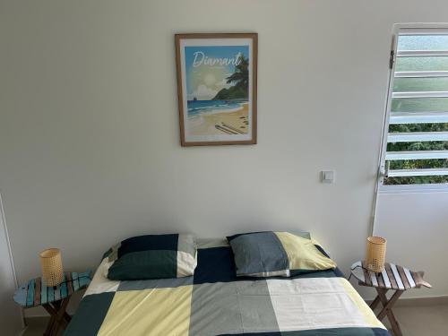 Palme bleue t3 au diamant Palme bleue t3 au diamant