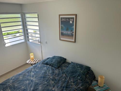 Palme bleue t3 au diamant Palme bleue t3 au diamant