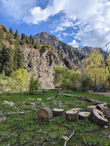 Cabin on Big Cottonwood River in Snowbird Lodge (UT)