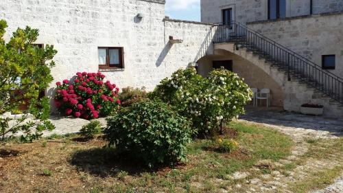 Masseria Montecchie - image 12