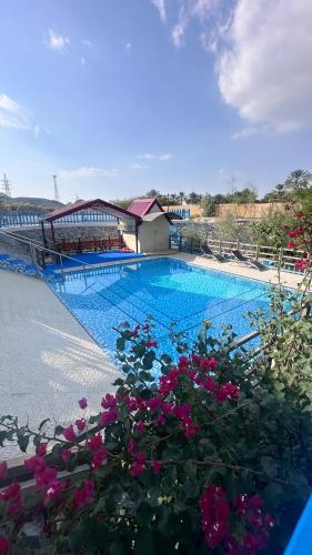 Swimming pool, Red_Hut_Resort in Hatta