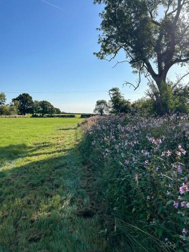 Surrounding environment, The Granary in Hellingly