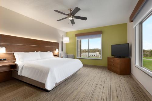 Holiday Inn Express Hotel & Suites Opelika Auburn By IHG in Opelika (AL)