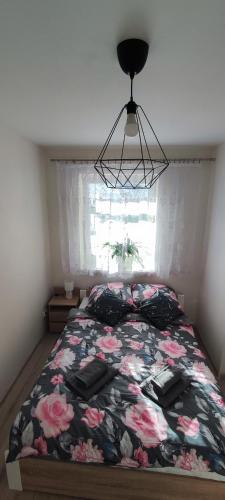 Apartament Słoneczny 11, Szklarska Poręba (foto 6)