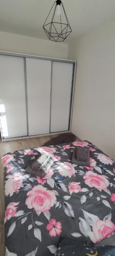 Apartament Słoneczny 11, Szklarska Poręba (foto 7)