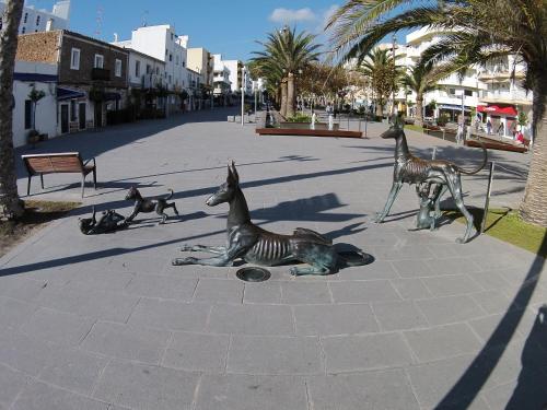 Hostal Mayol - image 11