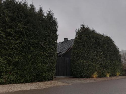 na swietego Urbana netflix canalplus hbo - Jelenia Gora