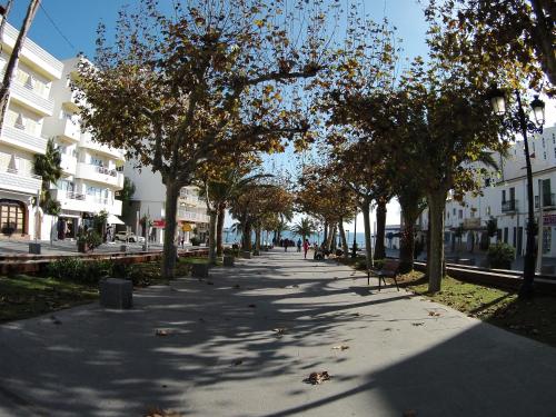 Hostal Mayol - main image